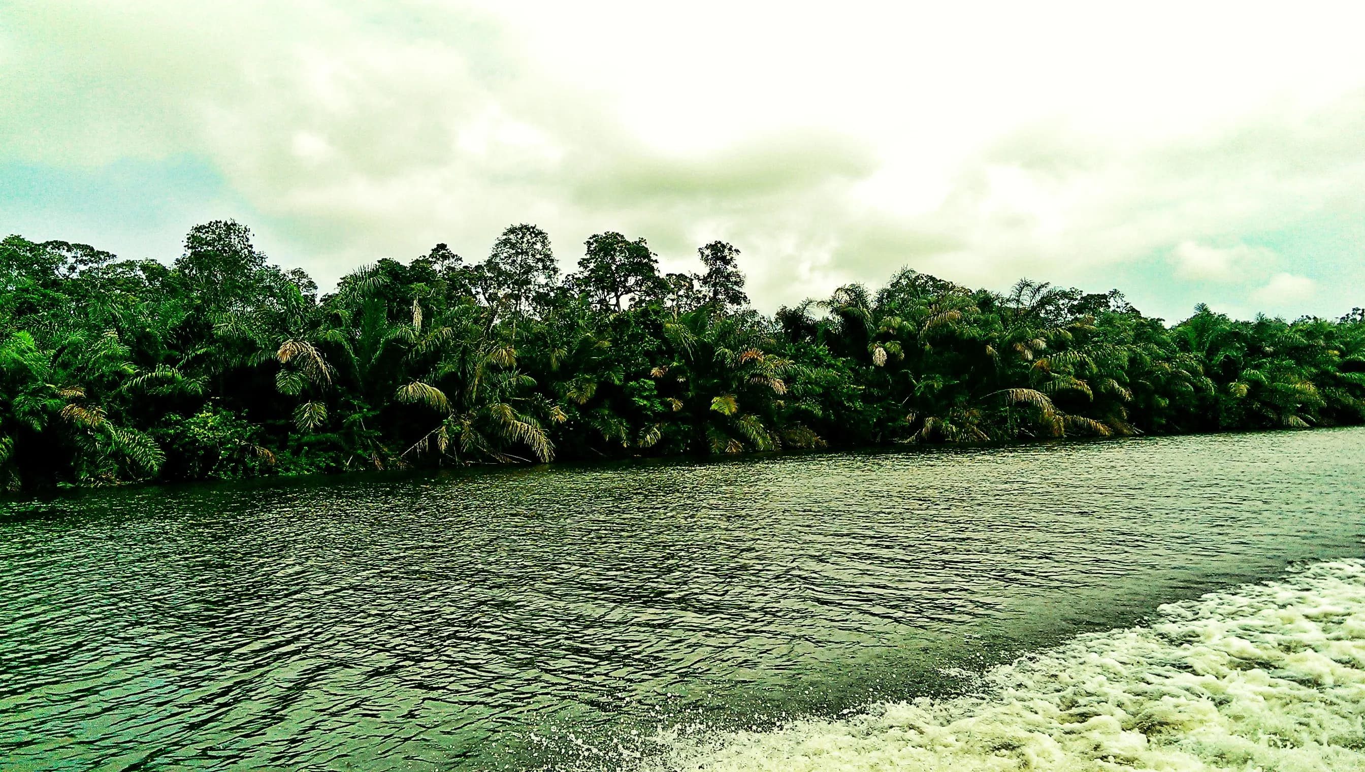 A river in Gabon
